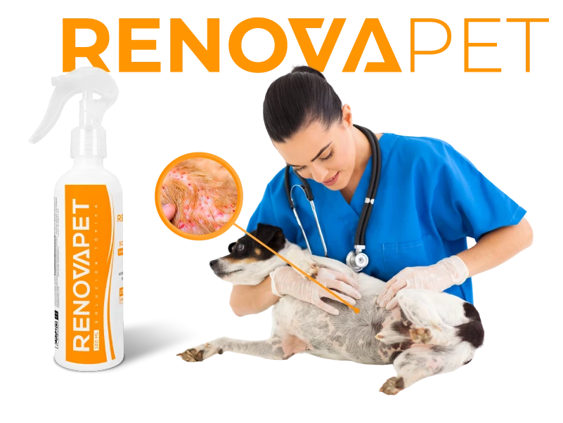 RENOVAPET TÓPICO